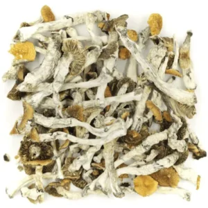 buy-golden-teacher-dried-shrooms-online